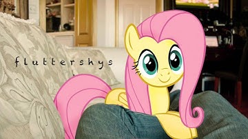 Fluttershys - FritzyBeat (Owl City Ponified)
