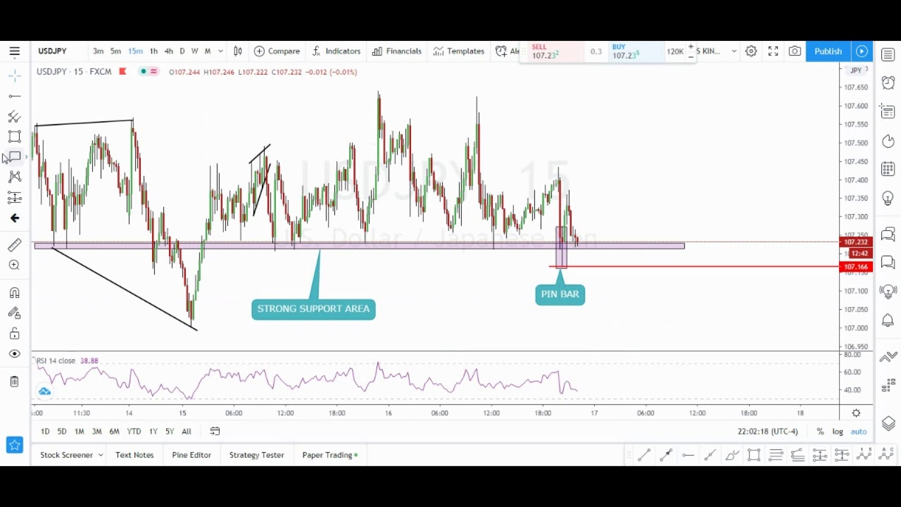 How to Trade Pin Bar at Support and Resistance | How to make money | With Trade Example