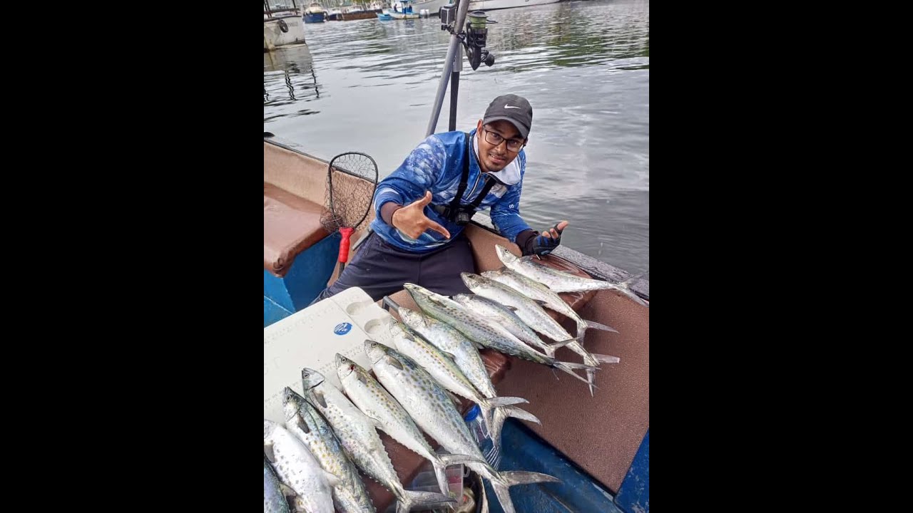 Alavie (live bait) fishing on the Reel Nutz for King Mackerel and