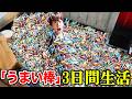 「うまい棒」で３日間生活してみたらヤバすぎた・・・