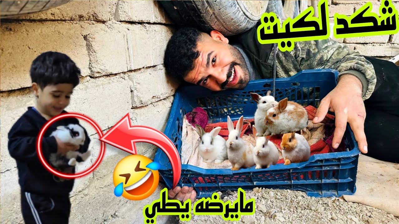 لحضات مشوقه للارانب داخل الجحر 😱