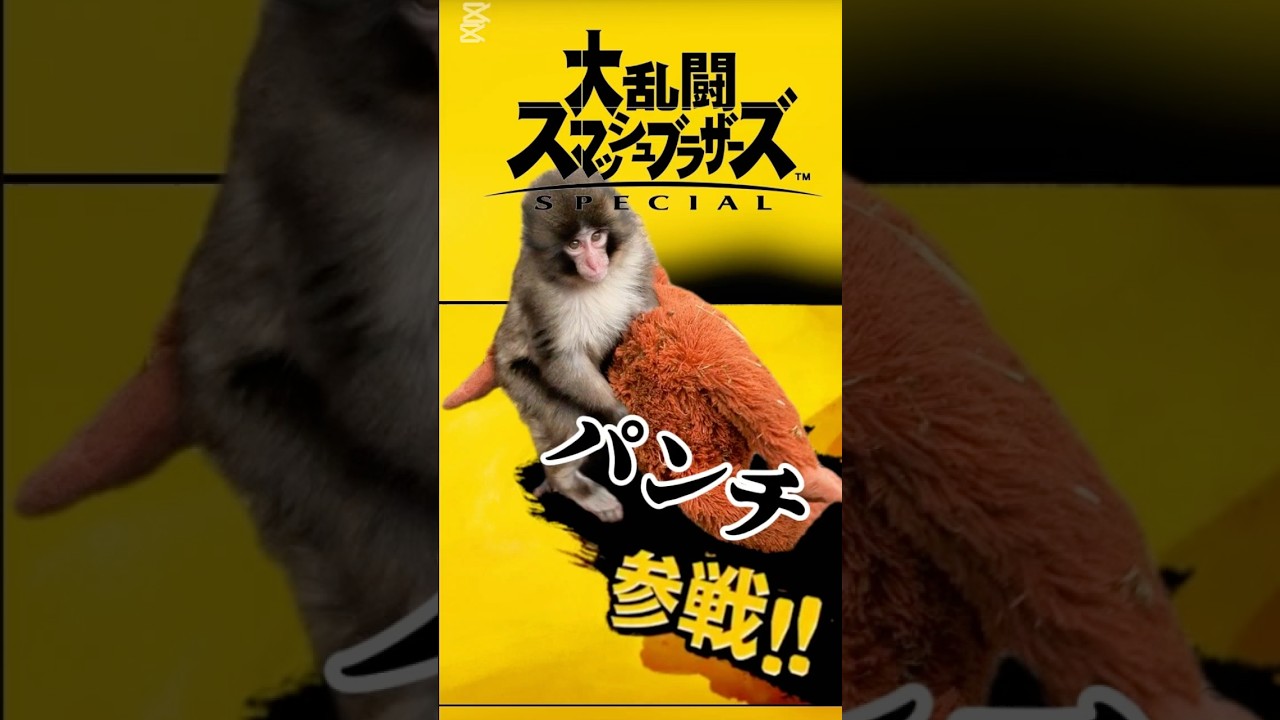 【戦うパンチくん】仲良く戦うパンチ君です！！#がんばれパンチ 　#punch