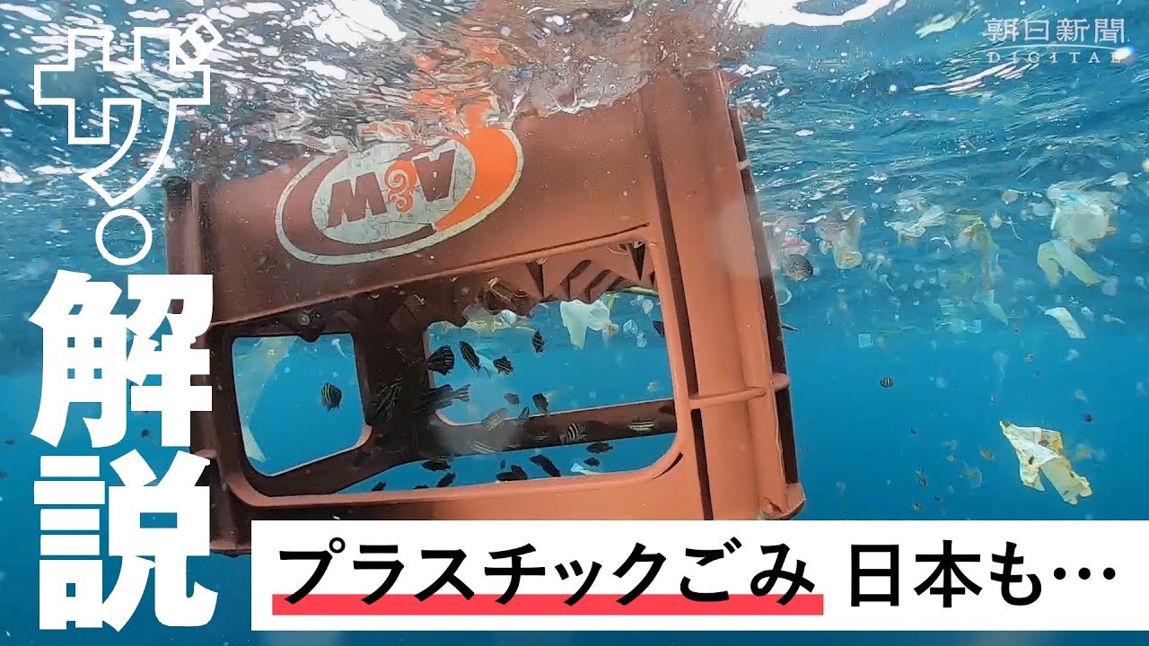 ザ 解説 海のプラごみ 日本近海は世界平均の２７倍 Youtube