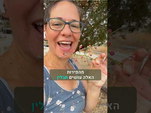 וִידֵאוֹ: האם תבלין הוא טעם?