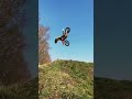 Fmx Mx Motocross 