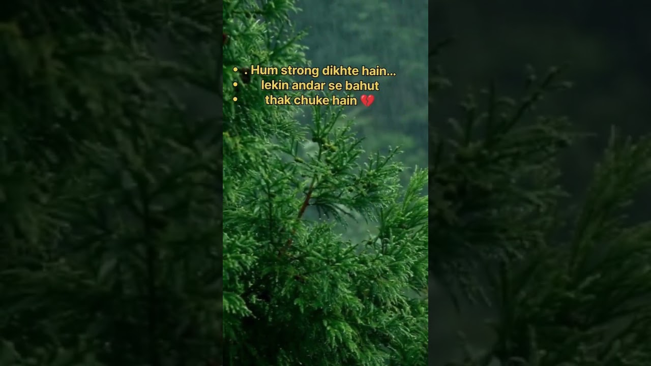 Sad whatsapp status ! Sad Line Status | Broken Heart Status | Sad Status | Alone Status | Breakup