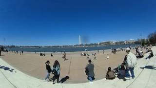 360 at Jefferson Memorial by Tidal Basin during Cherry Blossoms