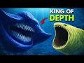 The Most Dangerous Creatures Hiding in the Ocean
