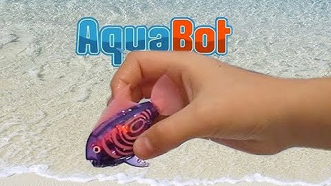 HexBug AquaBot 2.0 - Robotic Fish that Really Swims