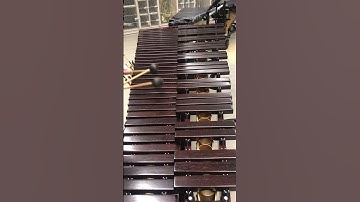 Apple ringtone on marimba