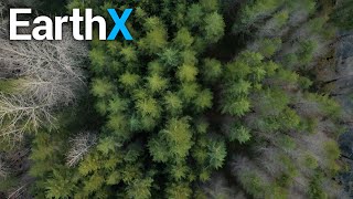 Information We are Living in an Era of MEGA FIRES | American Forest Fires | EarthX Guide