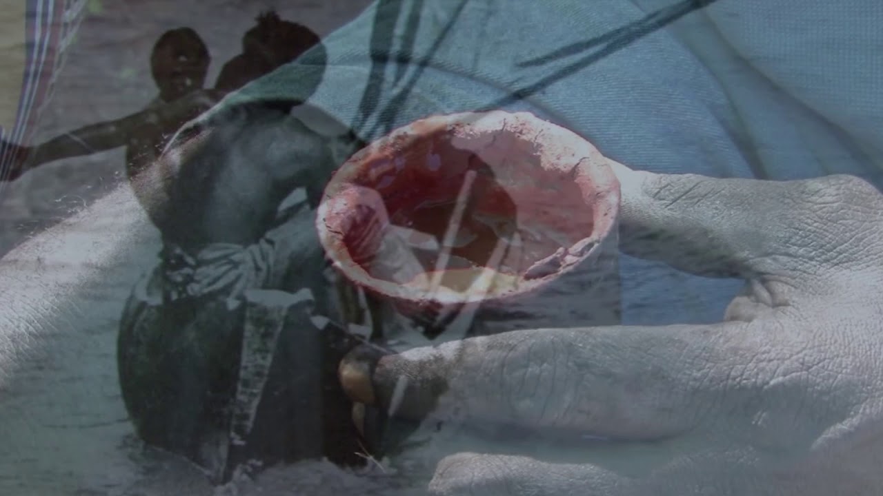 Bernards Dream Trailer