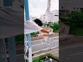 【衝撃】スマホで動画撮ったんだけど続き気になる人はコメントで教えて下さい！ #shorts