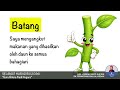KEPENTINGAN BAHAGIAN TUMBUHAN - SAINS TAHUN 1