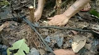 Cek jerat babi hutan yatno poah