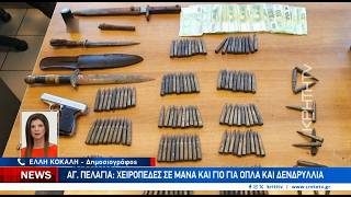 Αγία Πελαγία: Χειροπέδες σε μάνα και γιό για όπλα και δενδρύλλια