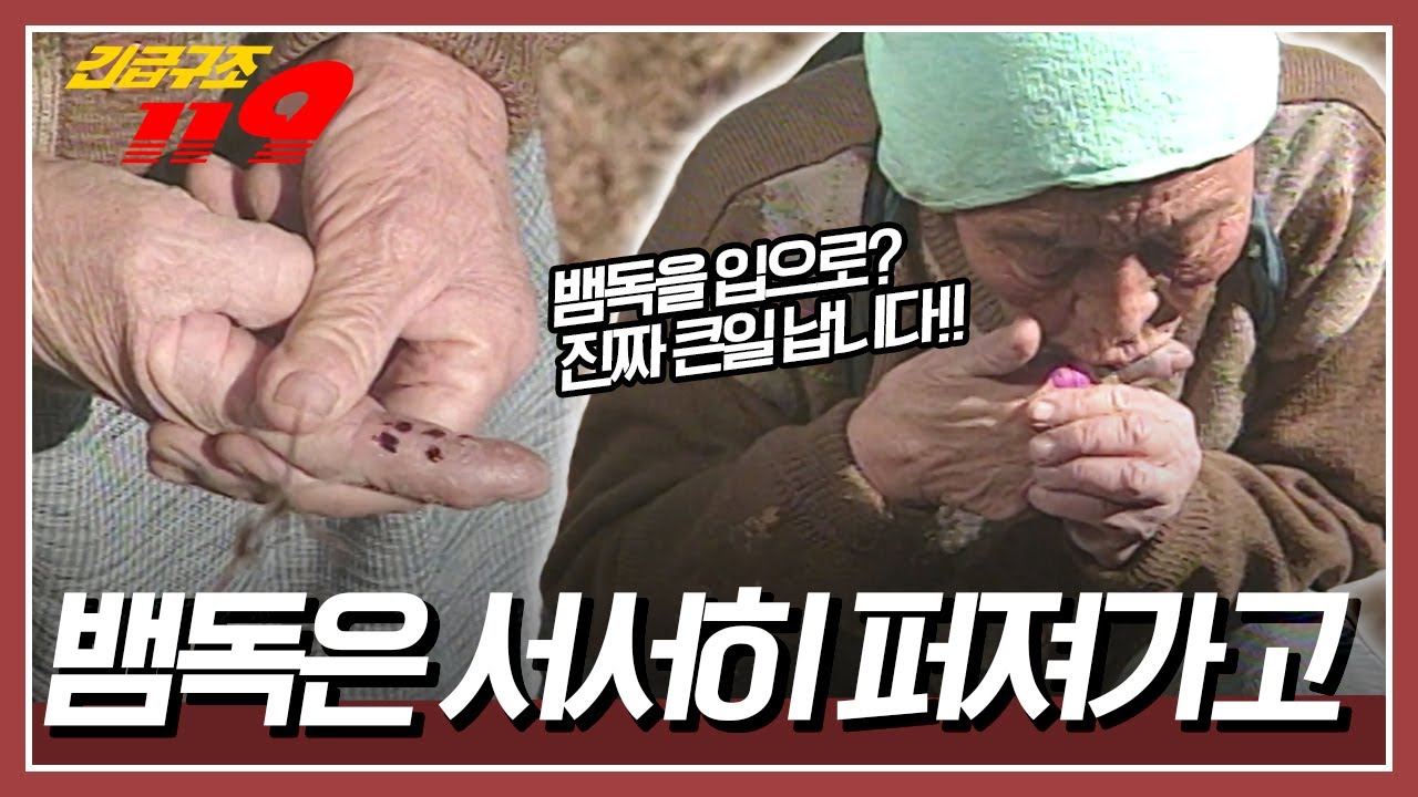 🐍☠️뱀에게 손가락을 물린 할머니, 뱀 독이 온 몸으로 퍼져가는데... 주위에 아무도 없다 [긴급구조 119] KBS 951114 방송