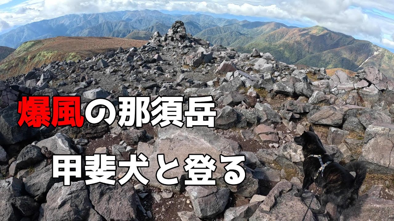 【茶臼岳】撤退者続出！甲斐犬と登る爆風の那須岳【百名山】