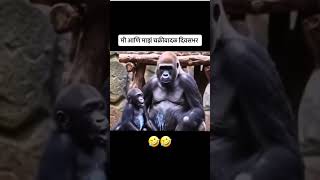 🥲😂🥲 #trending #motherboy #ytshorts #cutebaby #cute #love #baby #family #food  #hotmart #hotalert