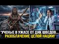 ТЕМНАЯ ТАЙНА ДНК ШВЕДОВ:ЧТО УЧЕНЫЕ НАШЛИ В ИХ КРОВИ?