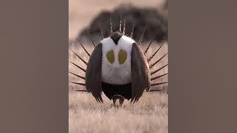 هذا خلق الله قرآن كريم صوت جميل جدا جدا يزلزل القلوب