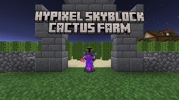 How to Build a Max Efficiency Cactus Farm for Hypixel Skyblock