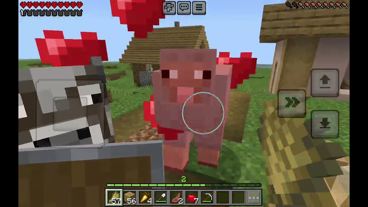 Minecraft Hardcore wir haben ein Dorf und eine Tierfarm 