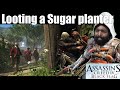 I heard sugar and we looted it |Assassins Creed BLACK FLAG | 2025 | Playing lost classics