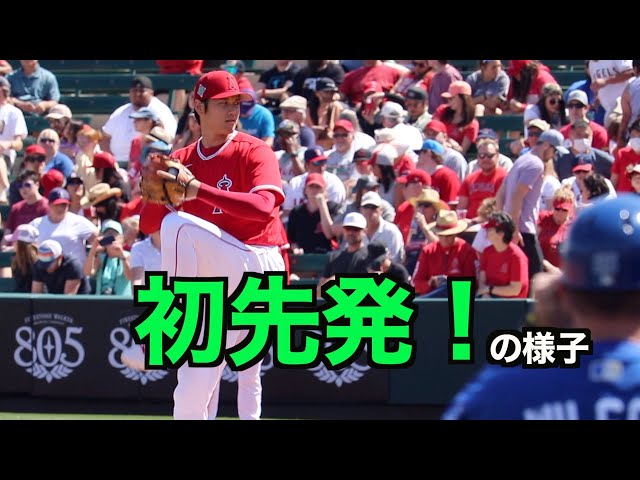Tairi x たいり