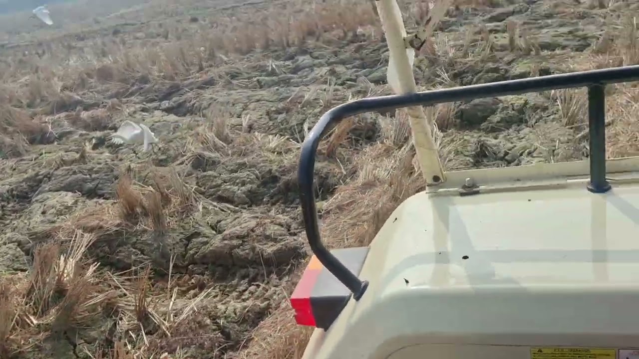 Swaraj 744 XT ধান কাটা মেশিনের জমিতে কেমন চাষ দিচ্ছে।