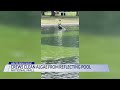 Crews clean algae from Reflecting Pool