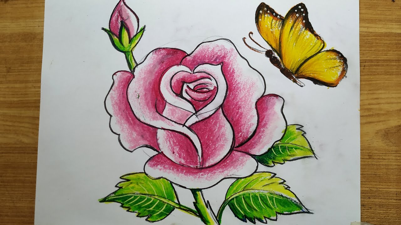 how to draw rose flower and butterfly with oil patel color,rose ...