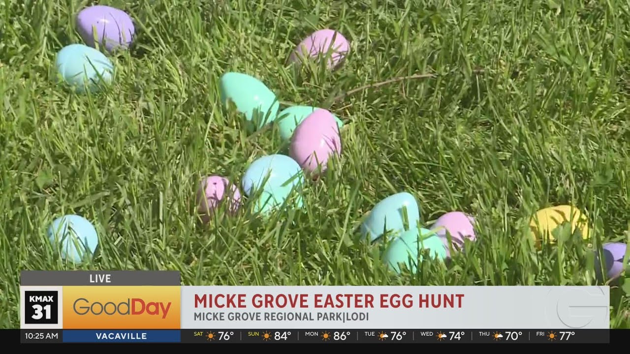 Micke Grove Regional Park Easter Egg Hunt - YouTube