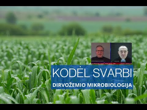 Video: Kodėl mikrobai svarbūs dirvožemyje?