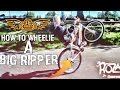 HOW TO WHEELIE ANY SE BIKE!! BIG RIPPER/SO CAL BY @ONEWAY_STEPHAN