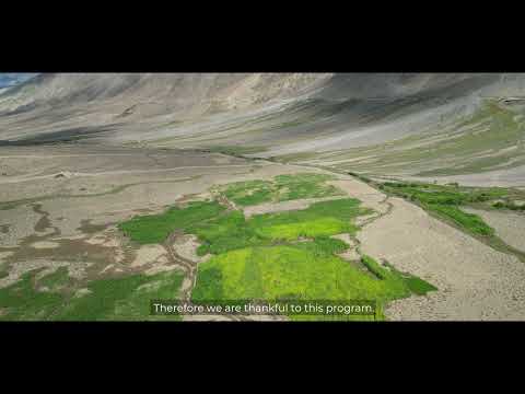 Kinodass Diamer