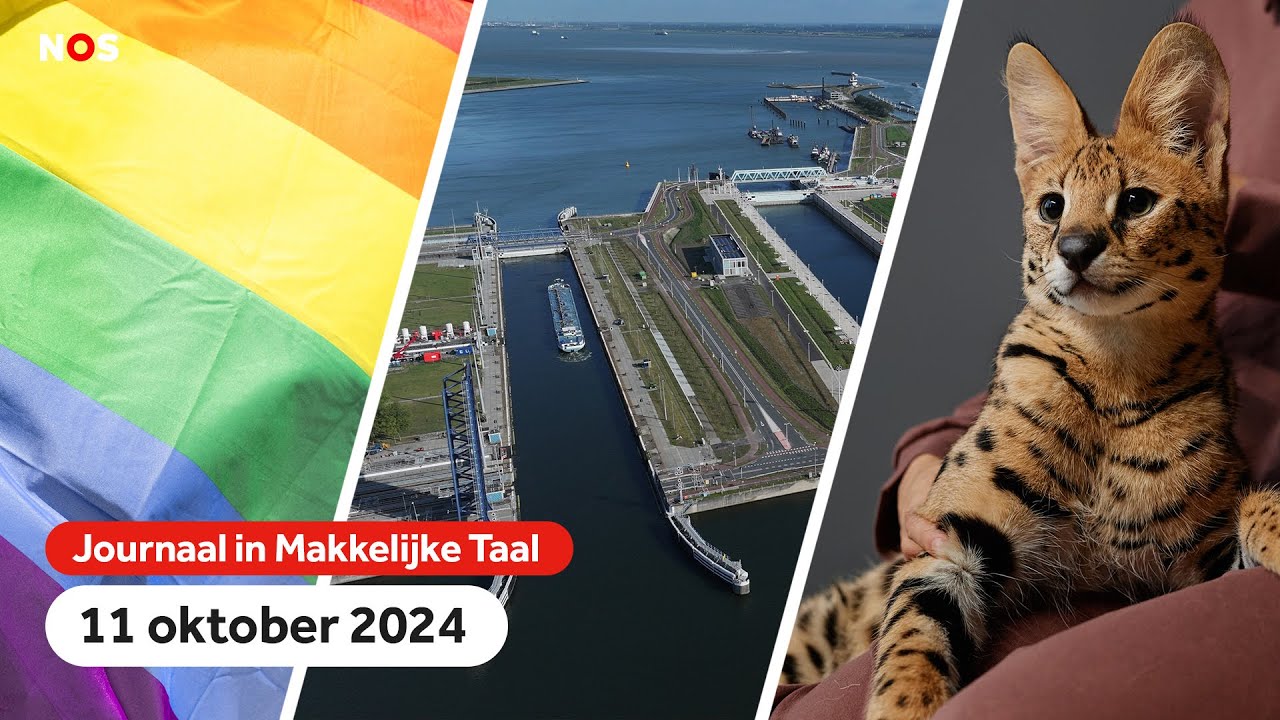 Het is Coming-Outdag, zeesluis geopend in Zeeland en ontsnapte serval gevangen