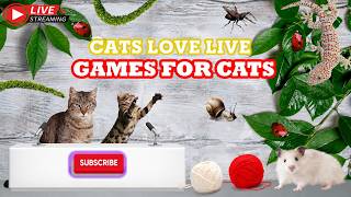 🔴 CAT GAME LIVE 🐱 12-Hour Endless Cat Adventure | Cute, Relaxing & Addictive 🐞🕷️🐭🐦🐎 screenshot 4