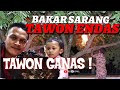 Membakar Sarang Tawon Ndas, Jenis Tawon Berbahaya