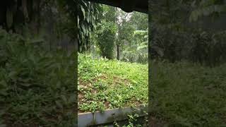 Hujan penuh berkah.. #hujan