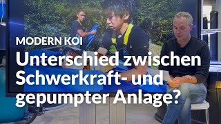 Etwas zum Thema UV Bestrahlung und Algenblüte | Modern Koi Blog #8084
