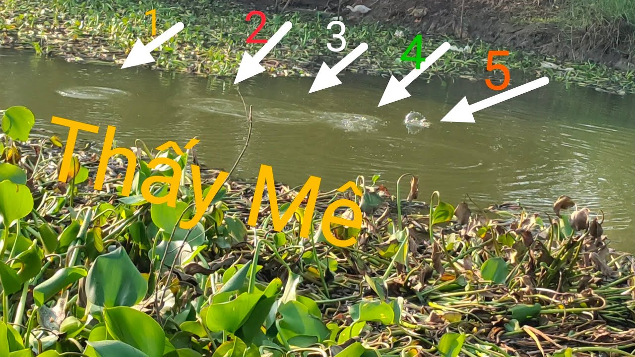 Phát Hiện Bầy Cá Như Vầy Thì Chơi Tới Háng Luôn.(tới Sáng)hihi.Tứ Bề Hoang Vắng.@Trần Chung Củ Chi