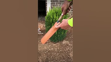 #GreenLab#clips#garden#design#asmrsounds