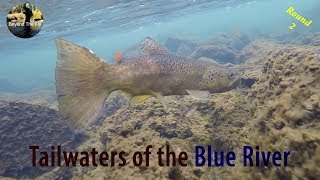 BEYOND THE FLY - Fly Fishing The Blue River