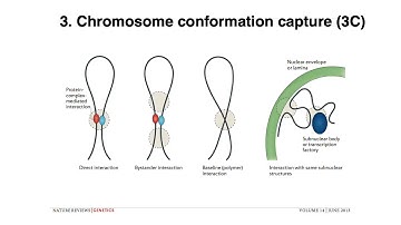 MCB 182 Lecture 3.4 - Genome assembly - Scaffolding contigs