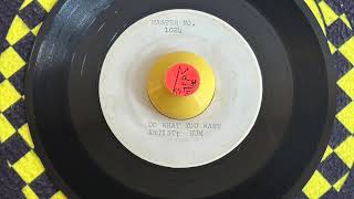 unreleased 60s psychedelic garage rock 45 Do What You Want ~ HUM