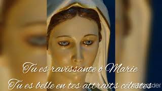 Tu es belle ô Marie  Les plus célèbres chants de Mgr Jean-Baptiste Akwadan