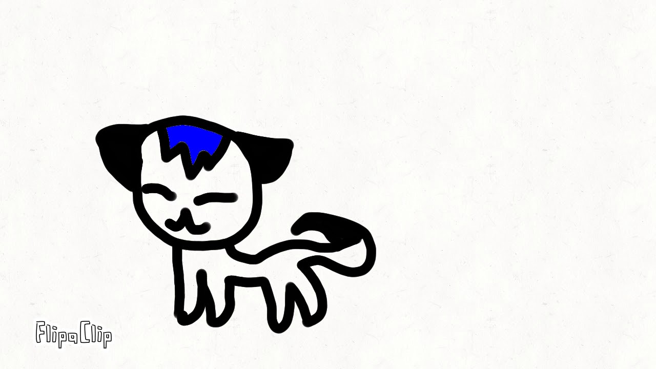 dog movement!! - YouTube