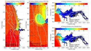 Salinity Forecast