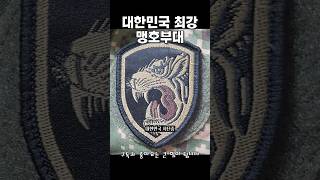 The strongest Tiger Unit in the Republic of Korea #History #Army screenshot 3